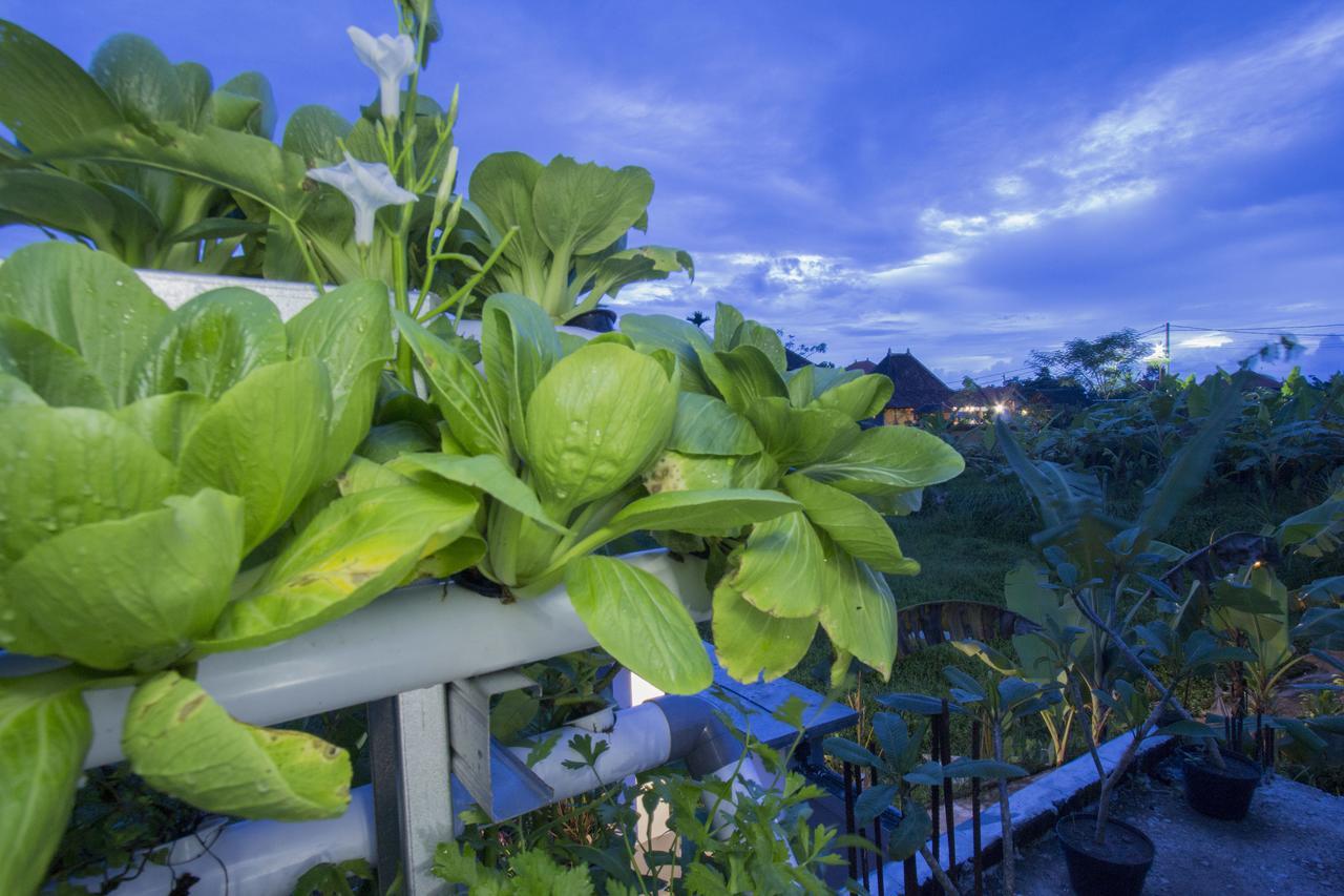 Vinayaka Ubud מראה חיצוני תמונה