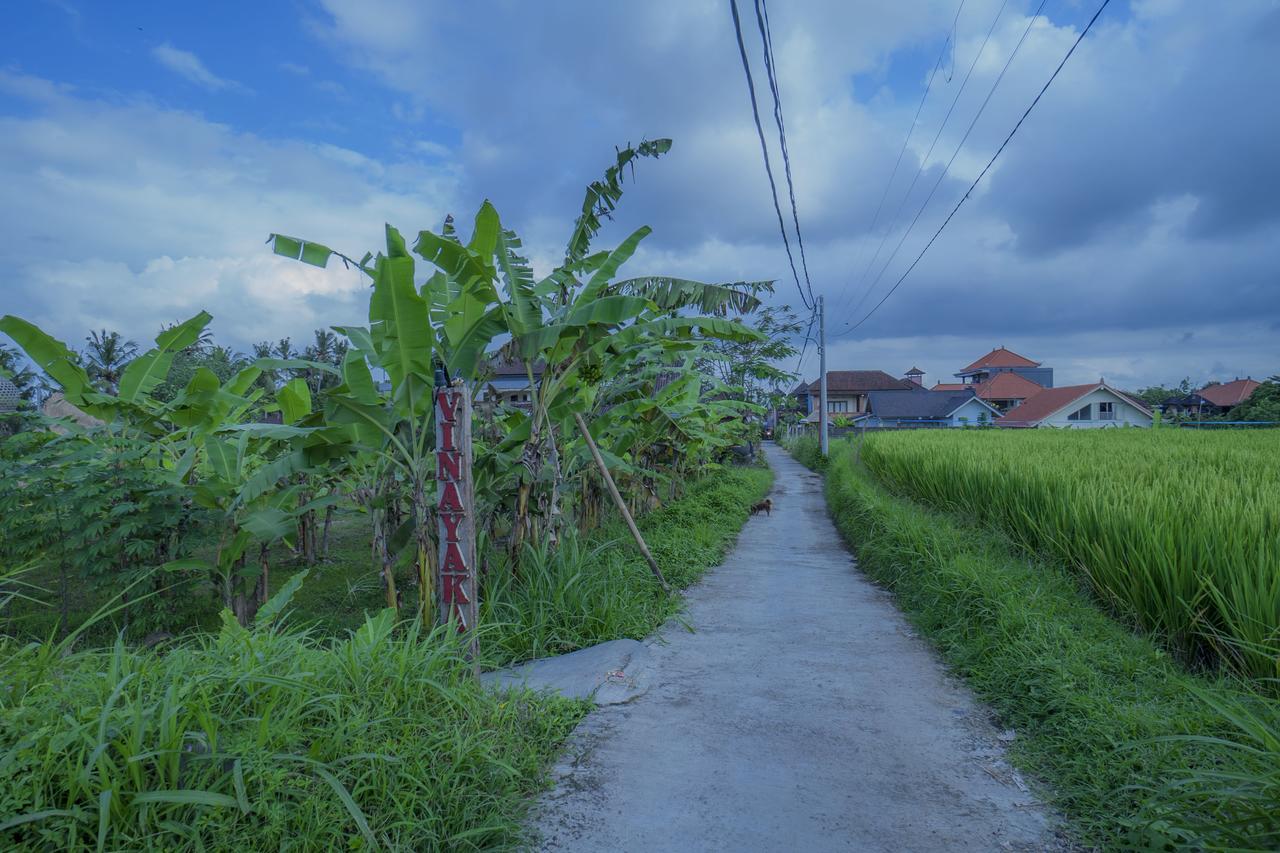 Vinayaka Ubud מראה חיצוני תמונה
