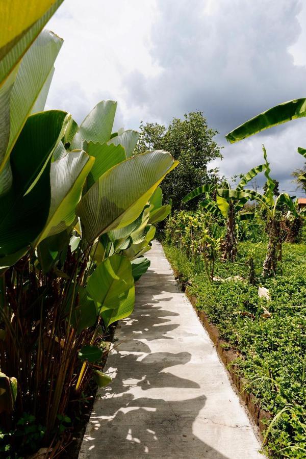 Vinayaka Ubud מראה חיצוני תמונה
